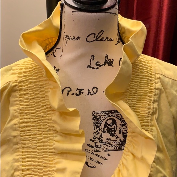 Yellow jacket - Picture 2 of 3